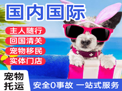 禄口机场托运国际宠物托运 【国